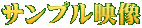 �T���v���f��