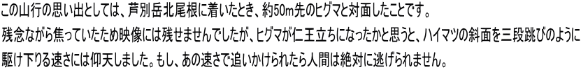 この山行の思い出としては、芦別岳北尾根に着いたとき、約50m先のヒグマと対面したことです。 残念ながら焦っていたため映像には残せませんでしたが、ヒグマが仁王立ちになったかと思うと、ハイマツの斜面を三段跳びのように 駆け下りる速さには仰天しました。もし、あの速さで追いかけられたら人間は絶対に逃げられません。