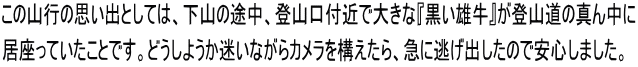 この山行の思い出としては、下山の途中、登山口付近で大きな『黒い雄牛』が登山道の真ん中に 居座っていたことです。どうしようか迷いながらカメラを構えたら、急に逃げ出したので安心しました。