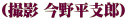 �i�B�e ���약�x�Y�j 
