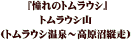  『憧れのトムラウシ』 トムラウシ山 （トムラウシ温泉～高原沼縦走）